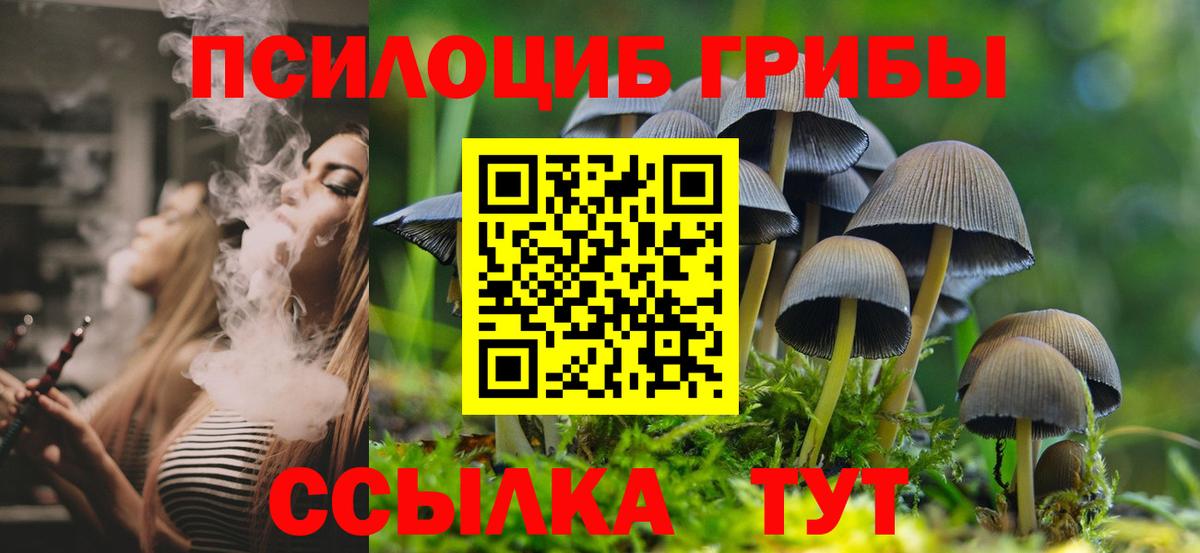 Псилоцибиновые грибы Psilocybe Егорьевск